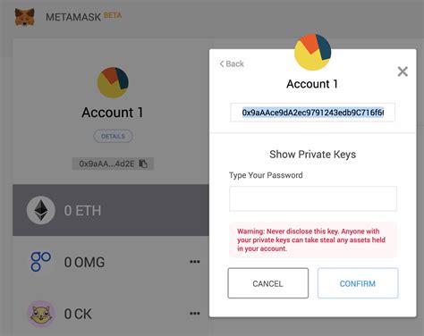 Metamask: How can I get private key from metamask when sending a transaction?