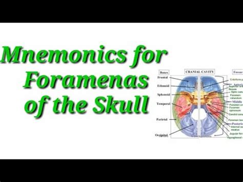 Mnemonic phrase, Metadata, Mnemonic phrase